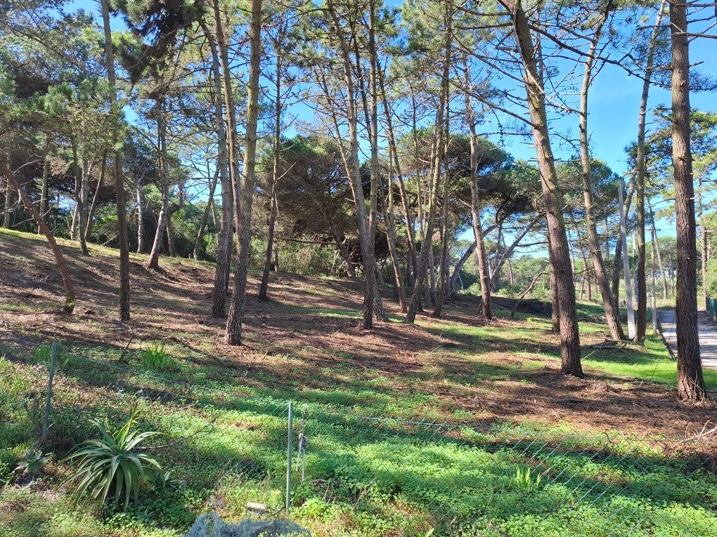 Venda de Terreno Rústico Praia Grande com 5.400m2