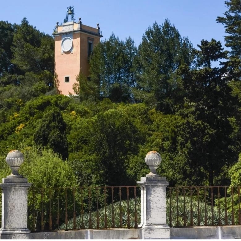 Palácio de Sua Alteza Rei Fernando II de Portugal