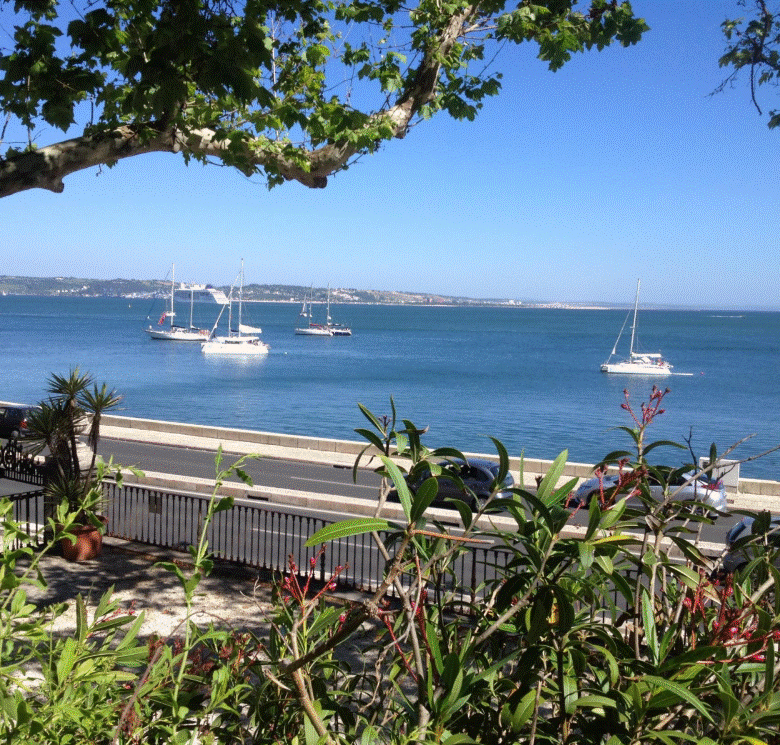 Palácio de Sua Alteza Rei Fernando II de Portugal