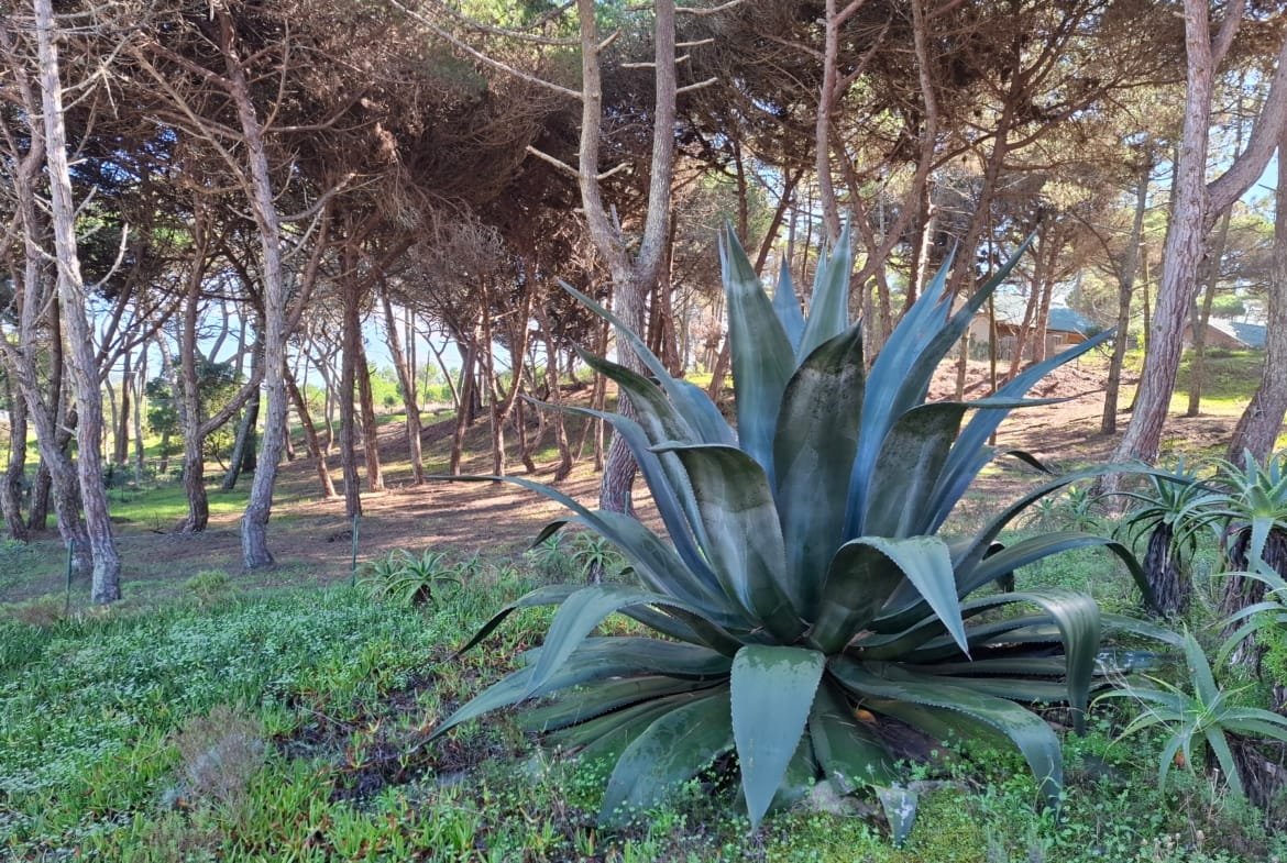 Venda de Terreno Rústico Praia Grande com 5.400m2