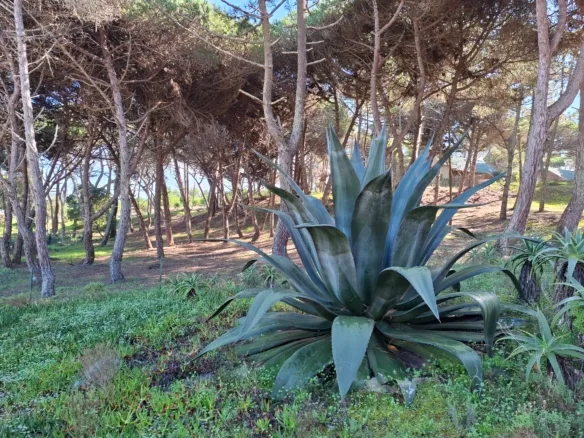 Venda de Terreno Rústico Praia Grande com 5.400m2