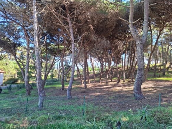 Venda de Terreno Rústico Praia Grande com 5.400m2