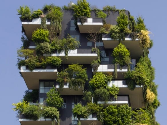 building covered in plants