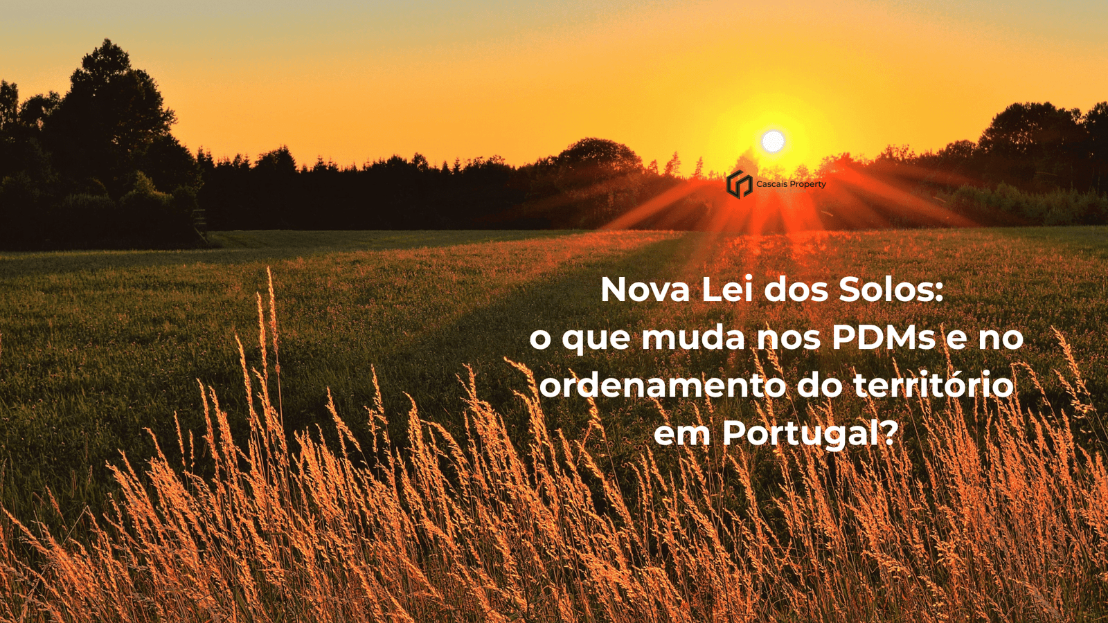 o que muda nos PDMs e no ordenamento do território em Portugal