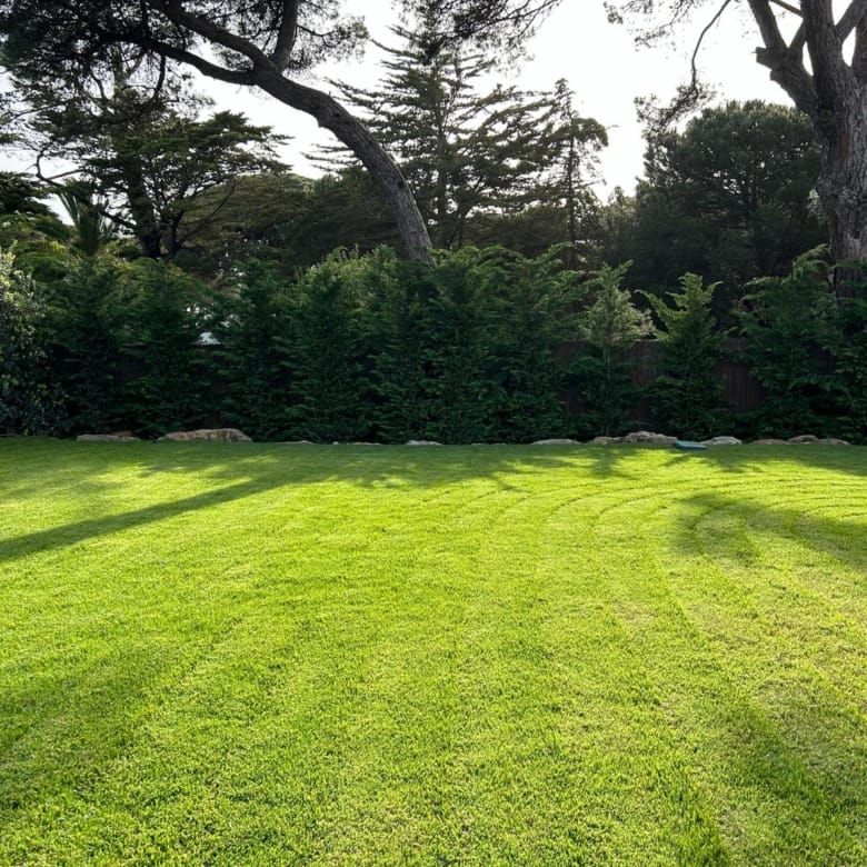 Moradia Bloom Marinha