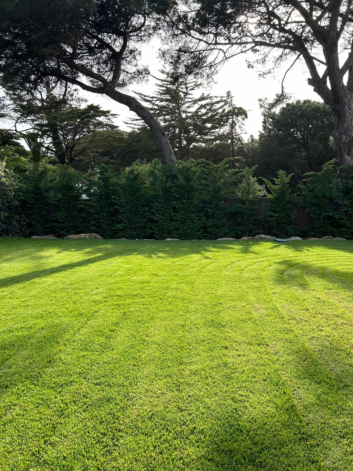 Moradia Bloom Marinha