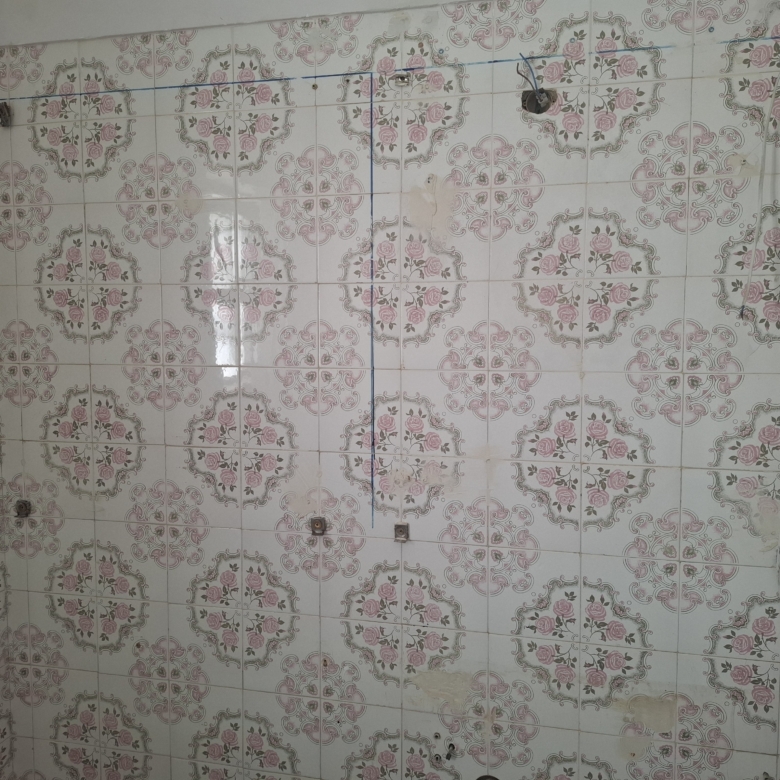 Decorative tiled wall with pink rose pattern and blue grout lines; several metal fixtures and openings.