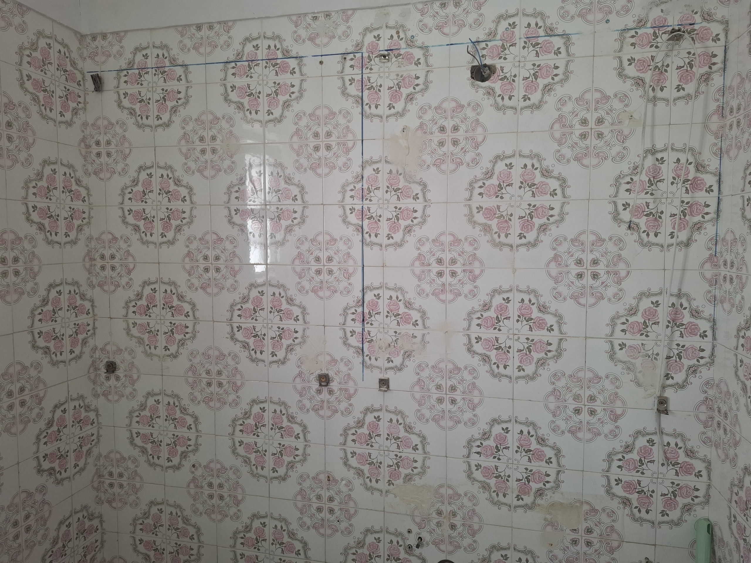 Decorative tiled wall with pink rose pattern and blue grout lines; several metal fixtures and openings.