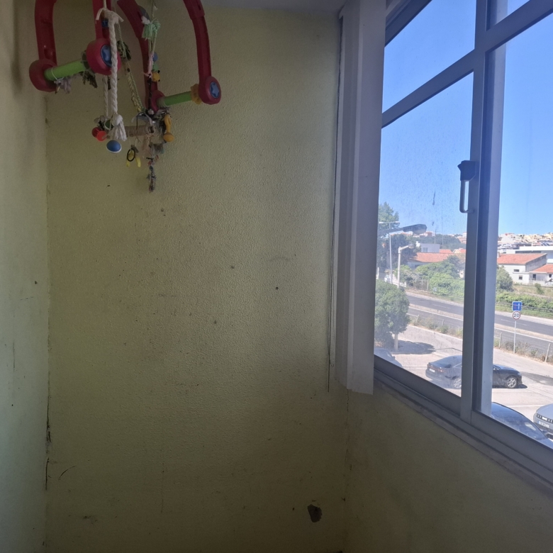 Indoor corner with a hanging bundle of colorful rope toys on the left and a large window to the right showing a sunny street outside with parked cars and buildings.