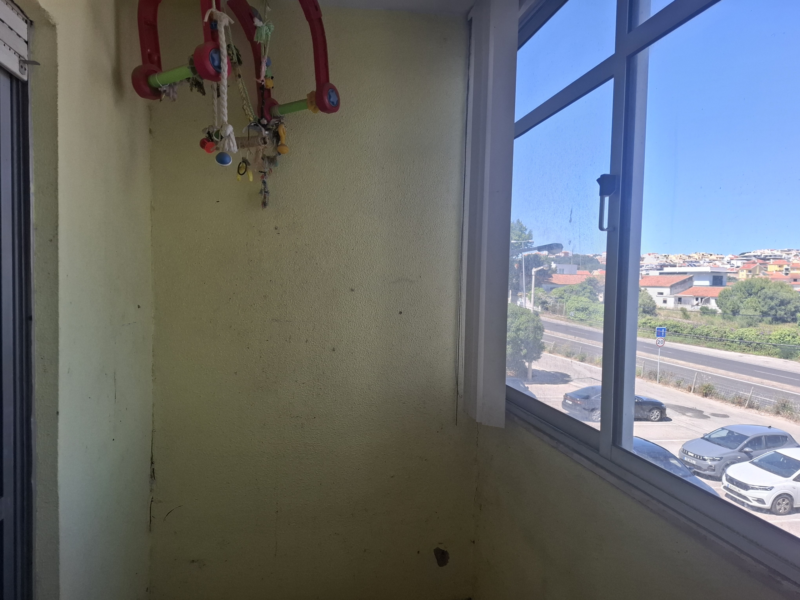 Indoor corner with a hanging bundle of colorful rope toys on the left and a large window to the right showing a sunny street outside with parked cars and buildings.