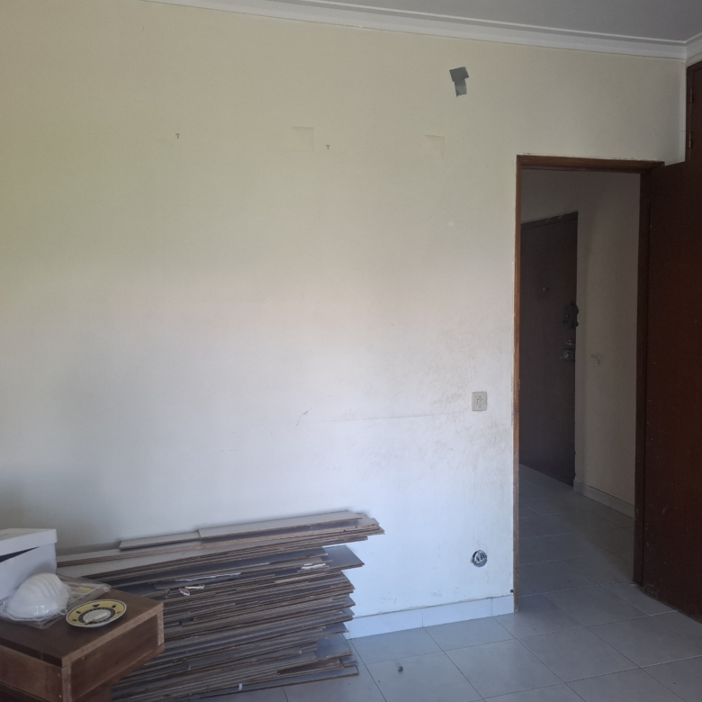 A partially furnished room with a stack of plywood boards along the wall, a brown wooden cabinet door on the right, and a cardboard box in the foreground; walls appear bare with some small patches and a doorway opening visible.