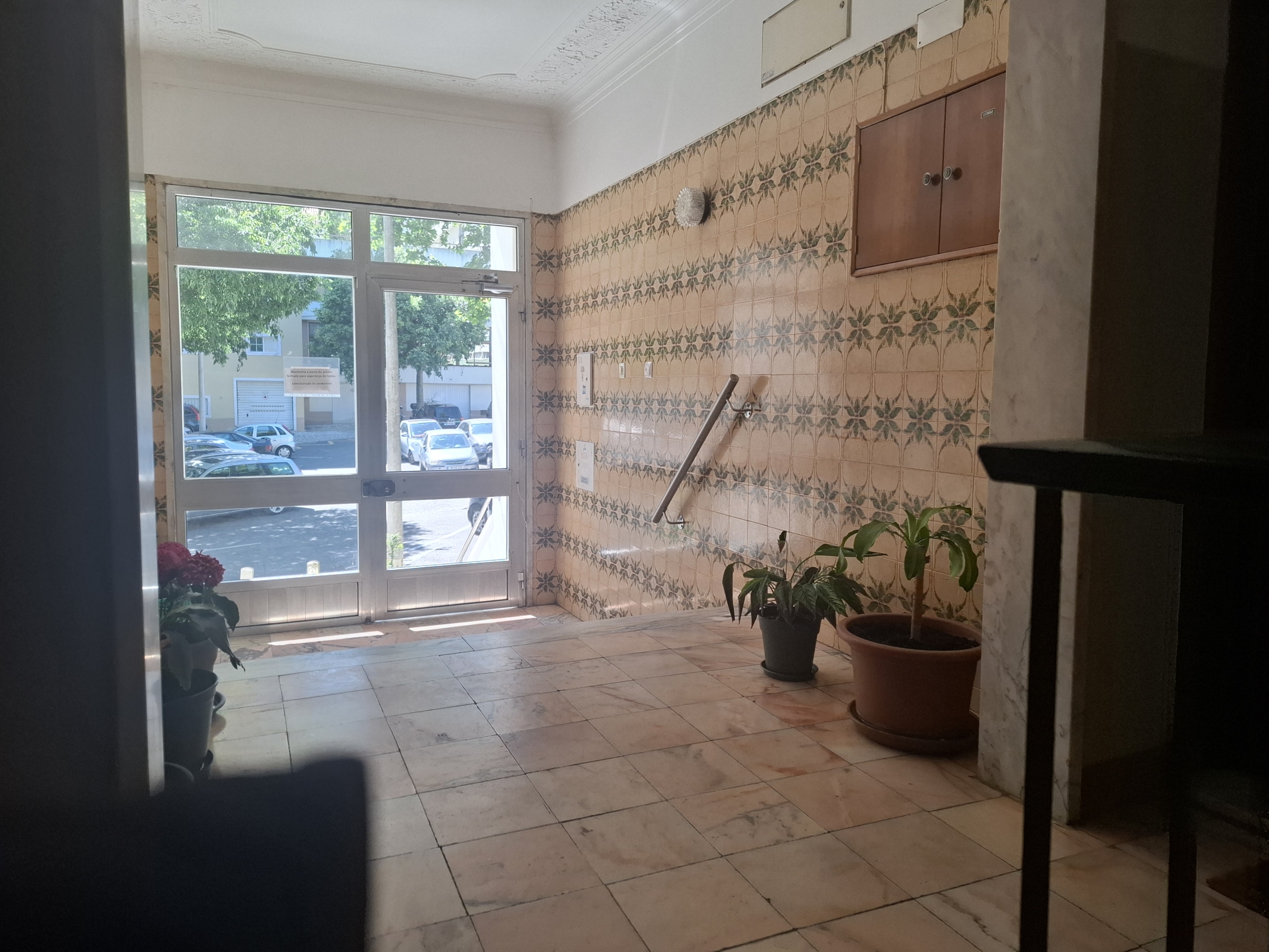 Interior entry hall with tiled floral walls, a glass front door, and potted plants along the side.